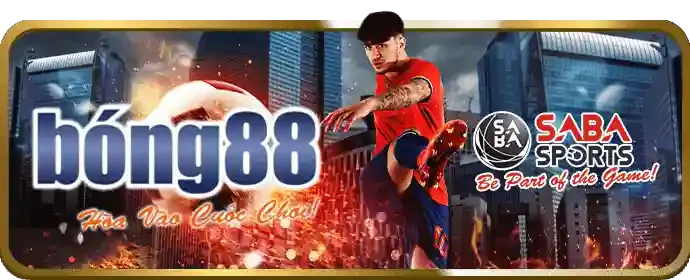 Cá cược Thể thao v188v